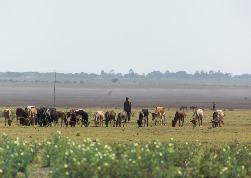 Agricultural finance